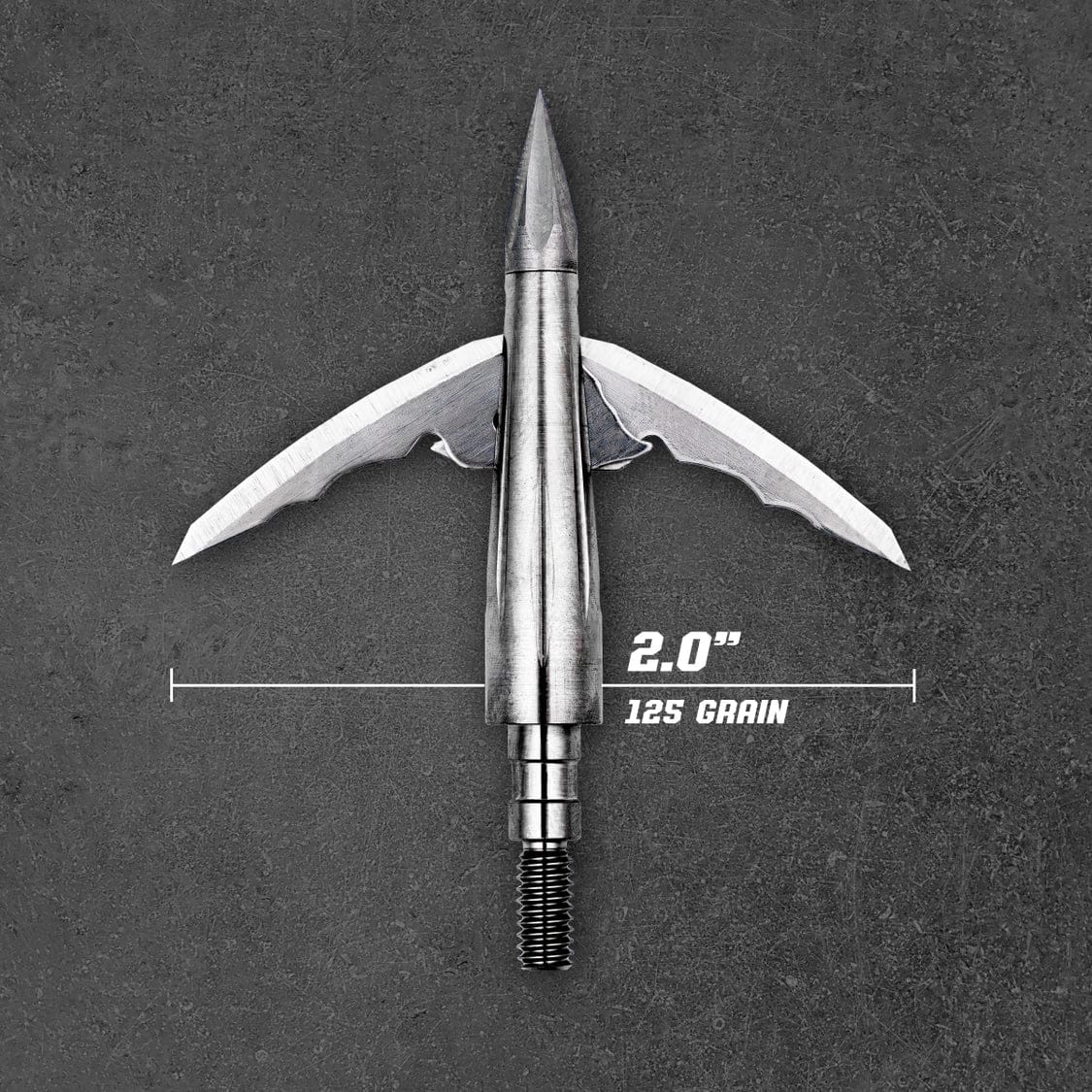 Beast 2.0" - 125 grain Titanium (2 PACK + Practice tip)