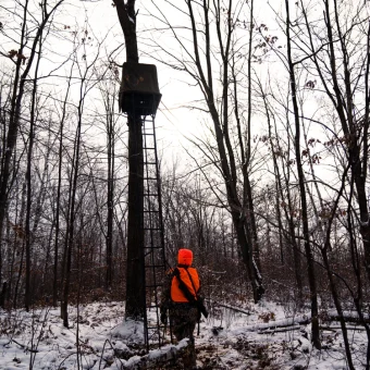 TREESTAND - LADDERSTAND 1-MAN CONCEALMENT KIT - Imagen 2