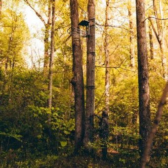 BIG  FOOT™ ROGUE XL™ HANG-ON - Imagen 9