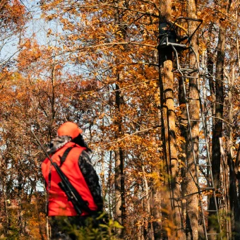 TREESTAND - LADDERSTAND DELUXE™  1-MAN - Imagen 2
