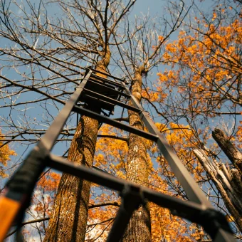 TREESTAND - LADDERSTAND DELUXE™  1-MAN - Imagen 3