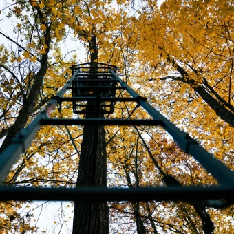 TREESTAND - LADDERSTAND JUMBO JACK™ 1-MAN - Imagen 5