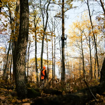 TREESTAND - LADDERSTAND UPPERCUT™  1-MAN - Imagen 2