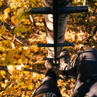 20FT CONNECT-N-CLIMB - Imagen 8