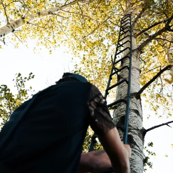 TREE  LADDER WITH SAFETY ROPE - Imagen 7