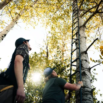 TREE  LADDER WITH SAFETY ROPE - Imagen 6