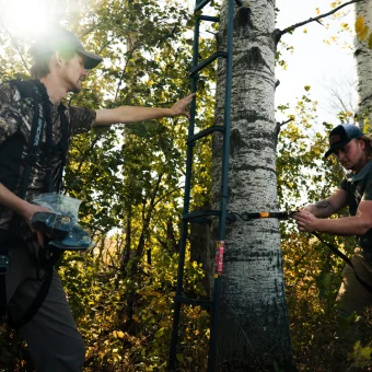 TREE  LADDER WITH SAFETY ROPE - Imagen 5