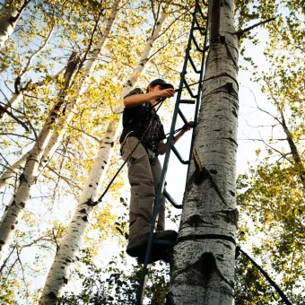 TREE  LADDER WITH SAFETY ROPE - Imagen 4