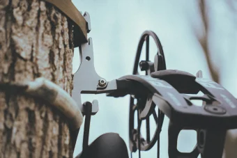Bite Bow Hanger - Imagen 2